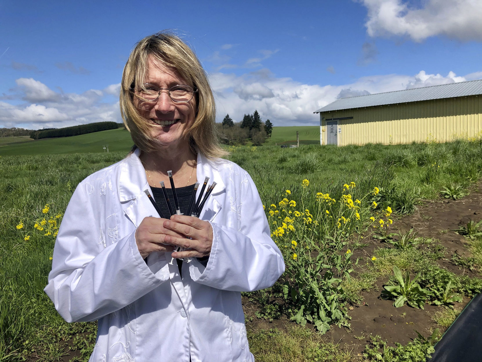 Medical Marijuana Shrinking Market